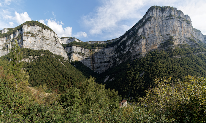 application/4DPicture