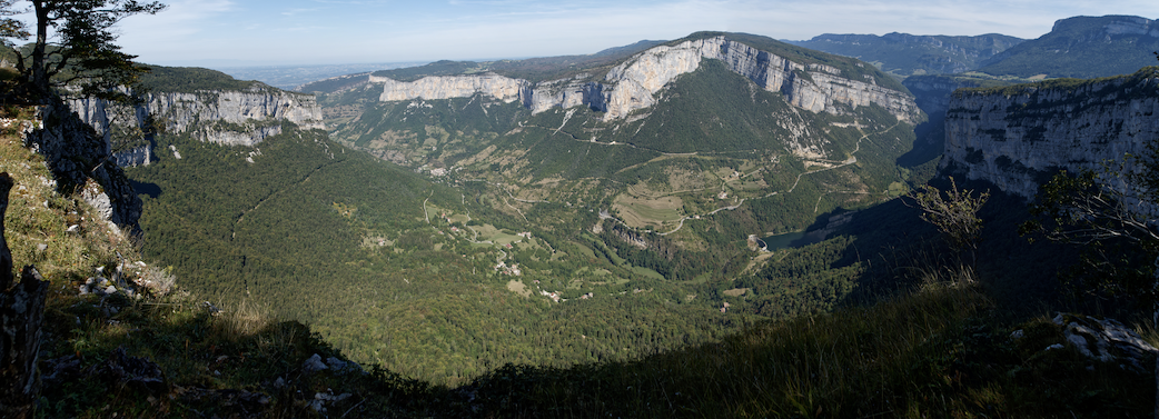 application/4DPicture